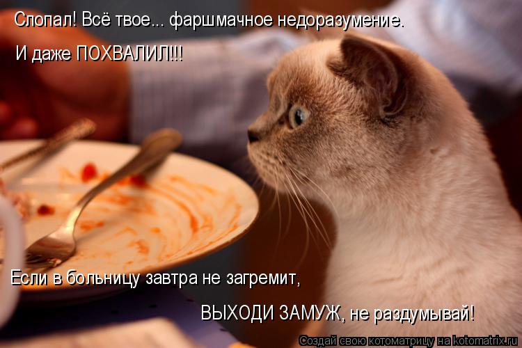 Котоматрица: Слопал! Всё твое... фаршмачное недоразумение.  И даже ПОХВАЛИЛ!!! Если в больницу завтра не загремит,  ВЫХОДИ ЗАМУЖ, не раздумывай!