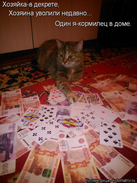 Котоматрица: Хозяйка-в декрете, Хозяина уволили недавно... Один я-кормилец в доме.