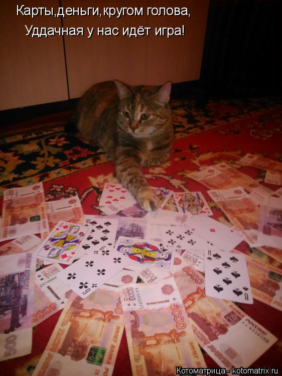 Котоматрица: Карты,деньги,кругом голова, Уддачная у нас идёт игра!