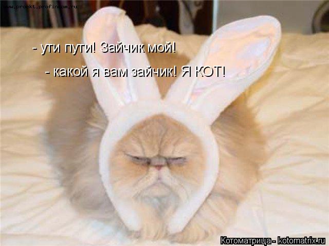 Котоматрица: - ути пути! Зайчик мой!  - какой я вам зайчик! Я КОТ!