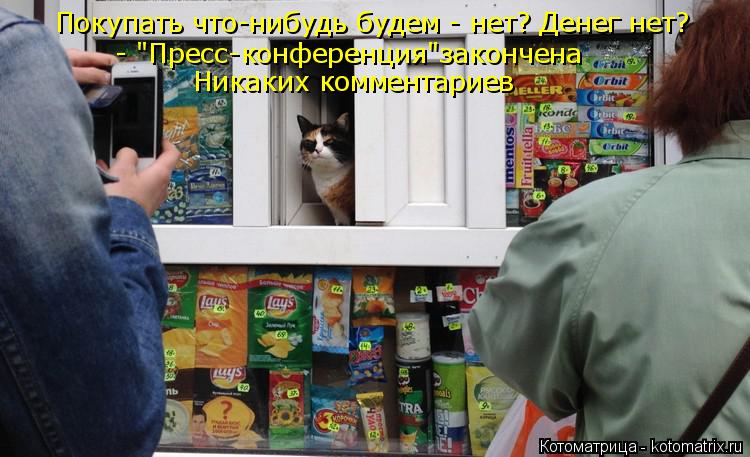 Котоматрица: Покупать что-нибудь будем - нет? Денег нет? Никаких комментариев - "Пресс-конференция"закончена