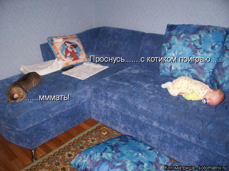 Котоматрица: Проснусь.......с котиком поиграю...... ......мммать! ......мммать!