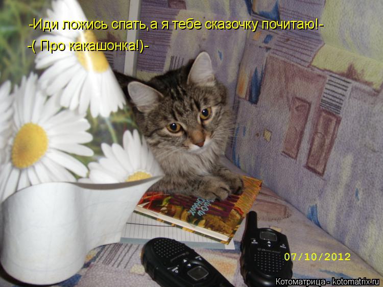 Котоматрица: -Иди ложись спать,а я тебе сказочку почитаю!- -( Про какашонка!)-