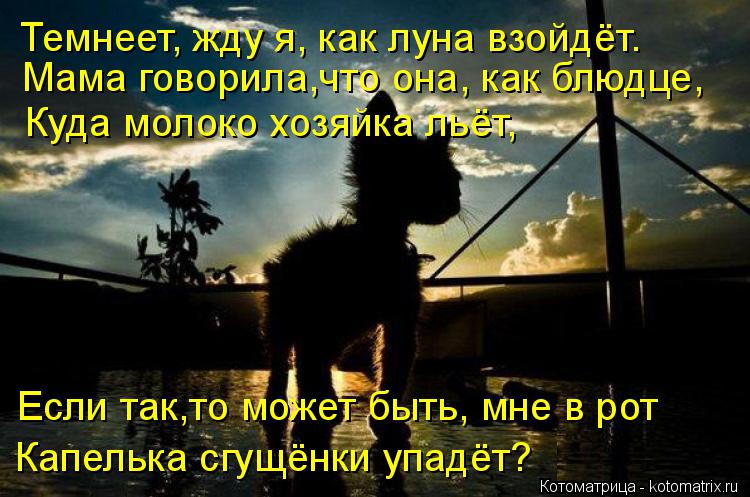 Котоматрица: Темнеет, жду я, как луна взойдёт. Мама говорила,что она, как блюдце, Куда молоко хозяйка льёт, Если так,то может быть, мне в рот Капелька сгущё