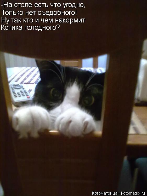 Котоматрица: -На столе есть что угодно, Только нет съедобного! Ну так кто и чем накормит Котика голодного?