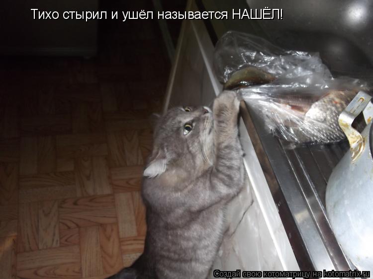 Котоматрица: Тихо стырил и ушёл называется НАШЁЛ!