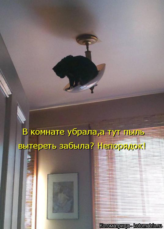 Котоматрица: В комнате убрала,а тут пыль  вытереть забыла? Непорядок!