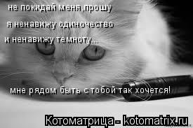 Котоматрица: не покидай меня,прошу я ненавижу одиночество и ненавижу темноту... мне рядом быть с тобой так хочется!