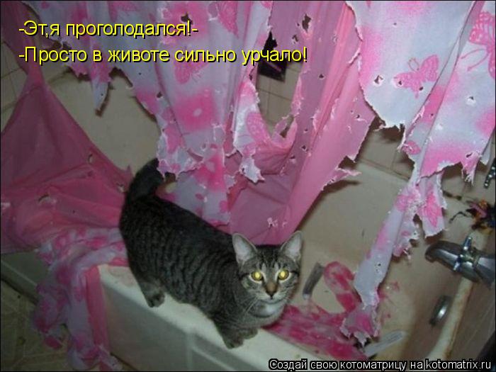 Котоматрица: -Эт,я проголодался!- -Просто в животе сильно урчало!