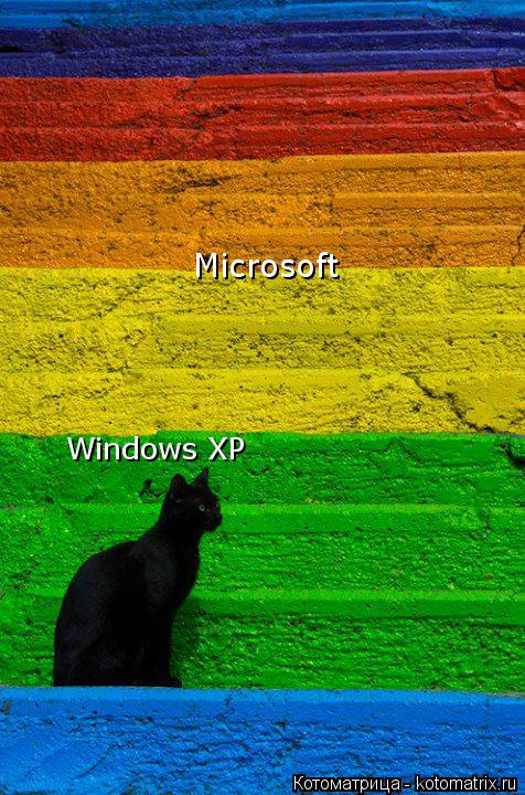 Windows XP Microsoft... Котоматрица: Windows XP Microsoft