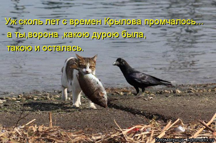 Котоматрица: Уж сколь лет с времен Крылова промчалось... а ты,ворона ,какою дурою была, такою и осталась.