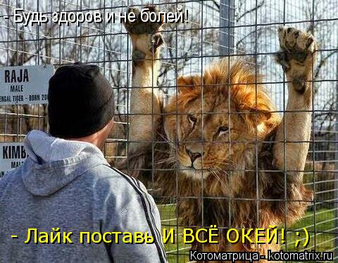 - Будь здоров и не болей! - Лайк поставь И ВСЁ ОКЕЙ! ;)... Котоматрица: - Будь здоров и не болей! - Лайк поставь И ВСЁ ОКЕЙ! ;)