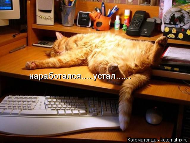Котоматрица: наработался.....устал......
