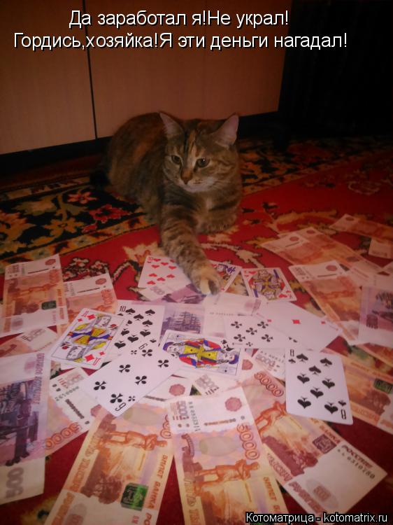 Котоматрица: Да заработал я!Не украл! Гордись,хозяйка!Я эти деньги нагадал!