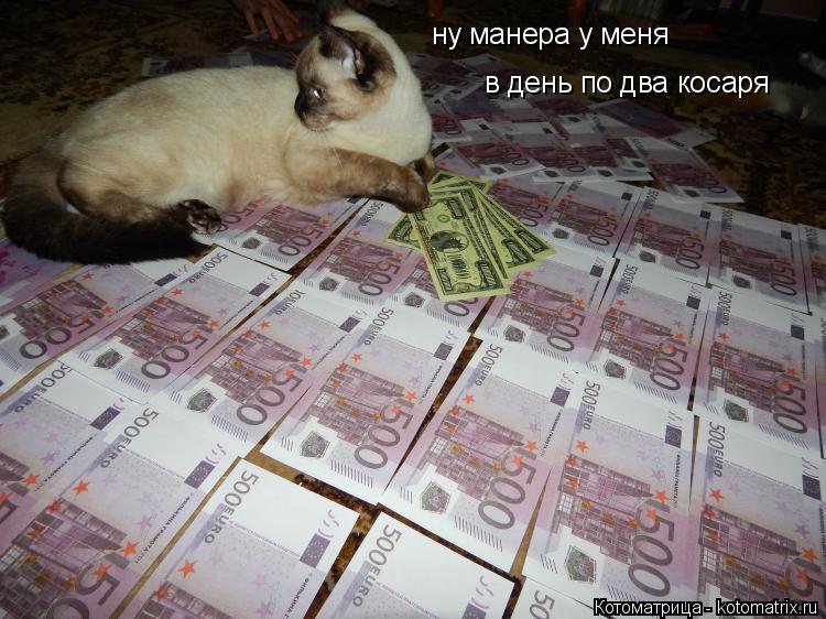 ну манера у меня в день по два косаря... Котоматрица: ну манера у меня в день по два косаря