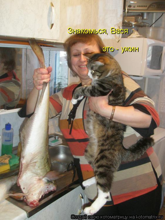Знакомься, Вася это - ужин... Котоматрица: Знакомься, Вася это - ужин