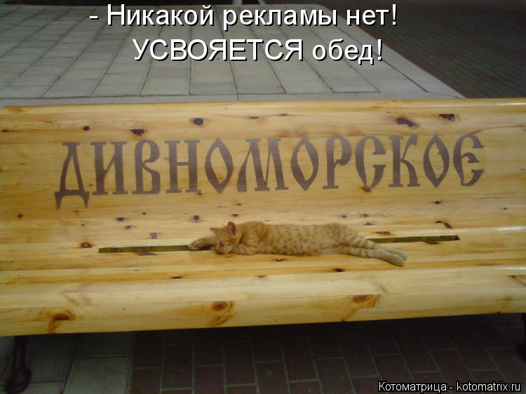 Котоматрица: - Никакой рекламы нет! УСВОЯЕТСЯ обед!
