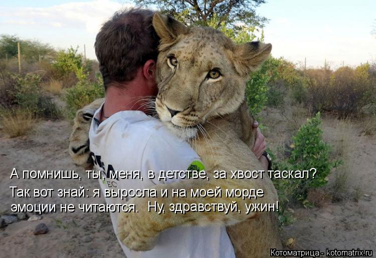 Котоматрица: А помнишь, ты, меня, в детстве, за хвост таскал? Так вот знай: я выросла и на моей морде  эмоции не читаются. Ну, здравствуй, ужин!