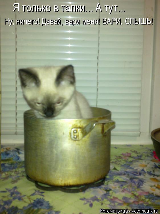 Котоматрица: Я только в тапки... А тут...  Ну, ничего! Давай, вари меня! ВАРИ, СЛЫШЬ!
