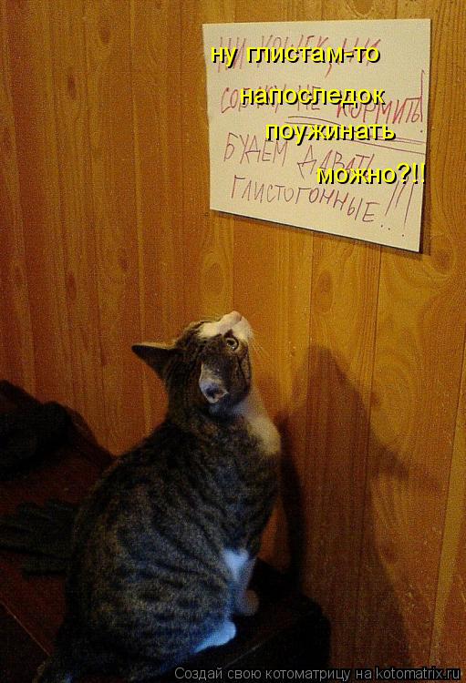 ну глистам-то напоследок поужинать можно?!!... Котоматрица: ну глистам-то напоследок поужинать можно?!!