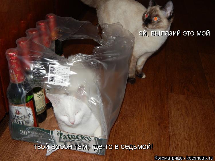 эй, вылазий это мой твой вооон там, где-то в седьмой!... Котоматрица: эй, вылазий это мой твой вооон там, где-то в седьмой!