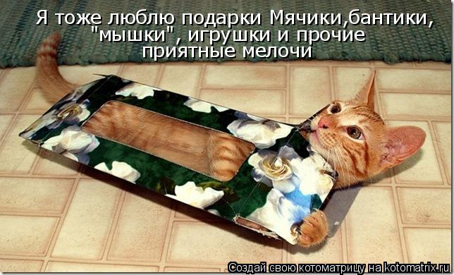 Котоматрица: Я тоже люблю подарки Мячики,бантики, "мышки", игрушки и прочие  приятные мелочи