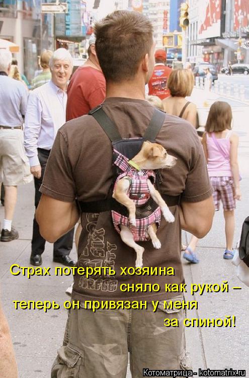 Котоматрица: Страх потерять хозяина  сняло как рукой –  теперь он привязан у меня  за спиной!