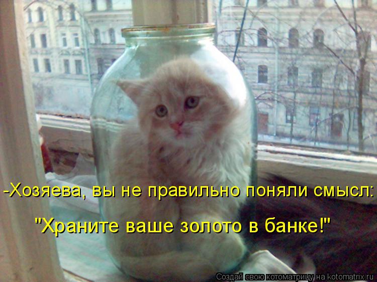 -Хозяева, вы не правильно поняли смысл: "Храните ваше золото в банке!"... Котоматрица: -Хозяева, вы не правильно поняли смысл: "Храните ваше золото в банке!"