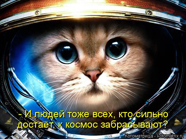 - И людей тоже всех, кто сильно достаёт, к космос забрасывают?... Котоматрица: - И людей тоже всех, кто сильно достаёт, к космос забрасывают?