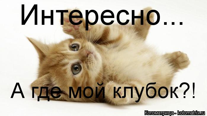 Котоматрица: Интересно... А где мой клубок?!