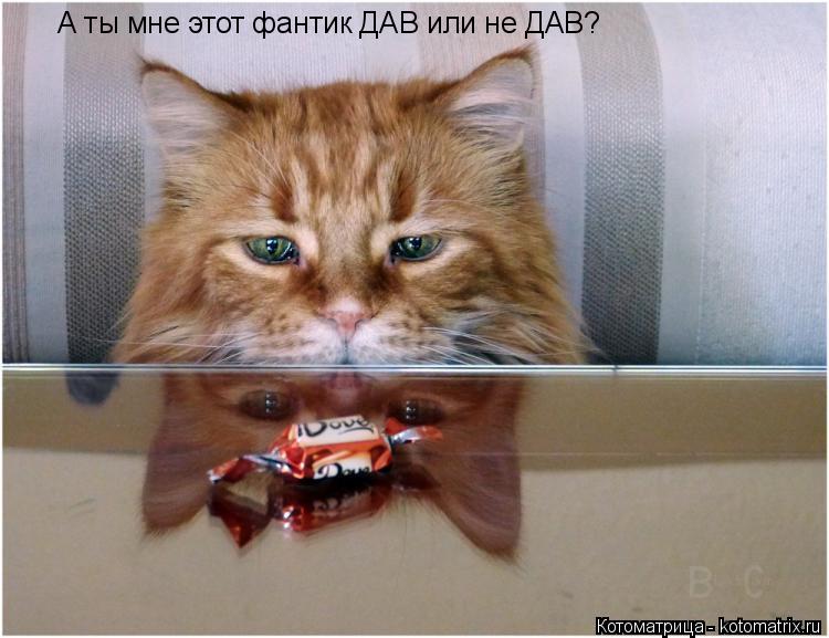А ты мне этот фантик ДАВ или не ДАВ?... Котоматрица: А ты мне этот фантик ДАВ или не ДАВ?