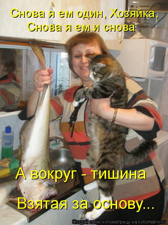 Котоматрица: Снова я ем и снова Снова я ем один, Хозяйка, А вокруг - тишина Взятая за основу...