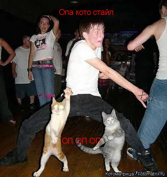 Котоматрица: Опа кото стайл ОП ОП ОП
