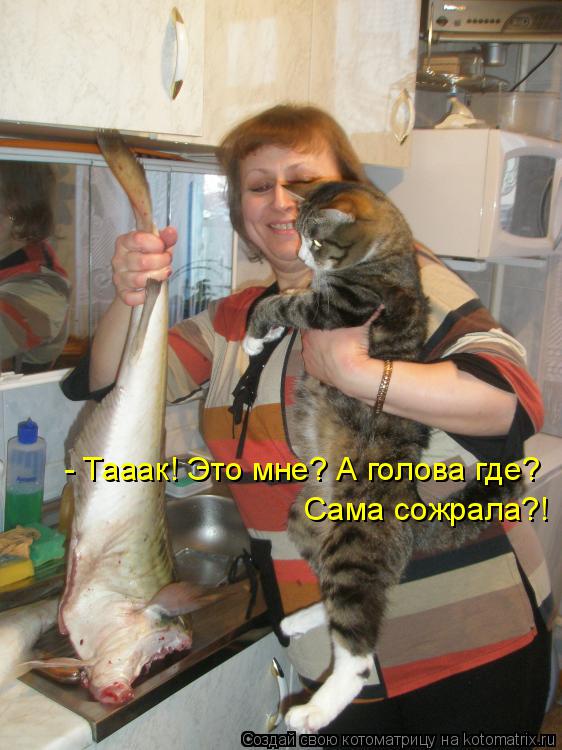 Котоматрица: - Тааак! Это мне? А голова где? Сама сожрала?!