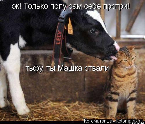 тьфу, ты Машка отвали ок! Только попу сам себе протри!... Котоматрица: тьфу, ты Машка отвали ок! Только попу сам себе протри!