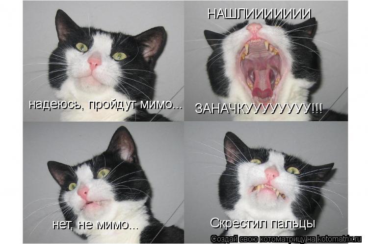 Котоматрица: надеюсь, пройдут мимо... нет, не мимо... Скрестил пальцы НАШЛИИИИИИИ  ЗАНАЧКУУУУУУУУ!!!