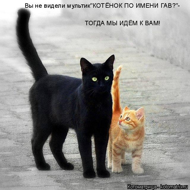 Вы не видели мультик"КОТЁНОК ПО ИМЕНИ ГАВ?"- ТОГДА МЫ ИДЁМ К ВАМ!... Котоматрица: Вы не видели мультик"КОТЁНОК ПО ИМЕНИ ГАВ?"- ТОГДА МЫ ИДЁМ К ВАМ!