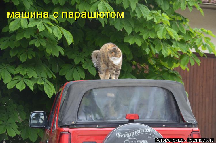 машина с парашютом... Котоматрица: машина с парашютом