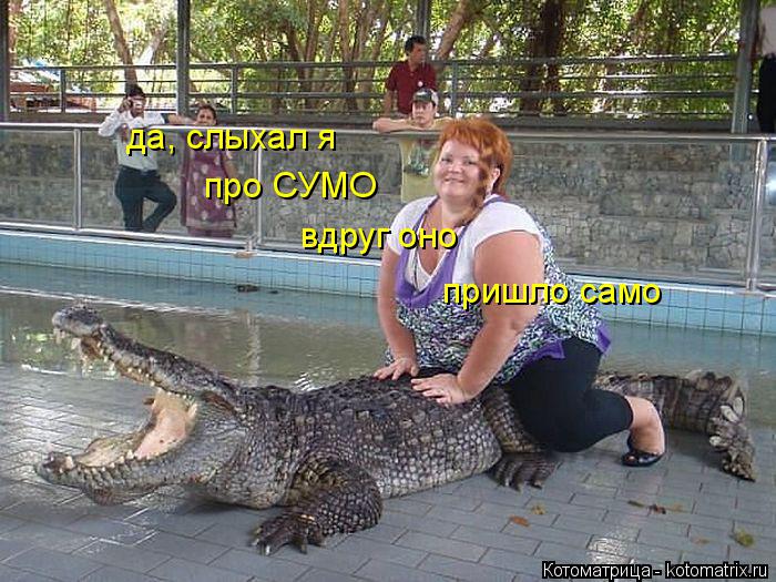 да, слыхал я про СУМО вдруг оно пришло само... Котоматрица: да, слыхал я про СУМО вдруг оно пришло само
