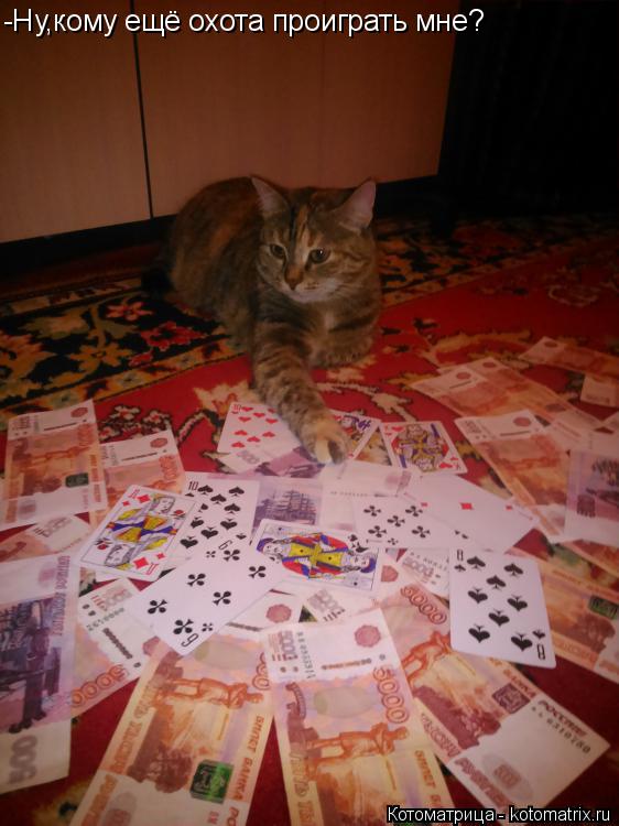 Котоматрица: -Ну,кому ещё охота проиграть мне?
