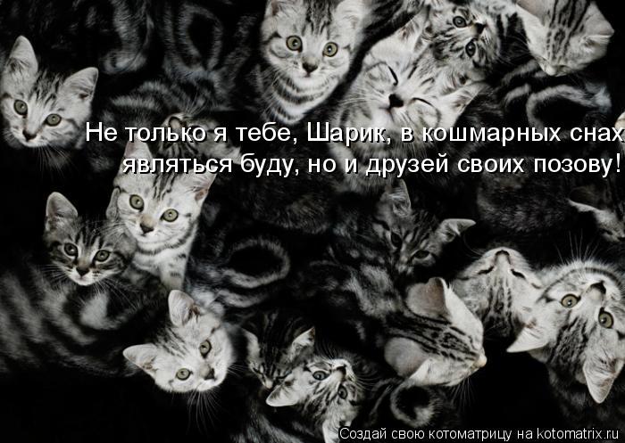 Котоматрица: Не только я тебе, Шарик, в кошмарных снах   являться буду, но и друзей своих позову!