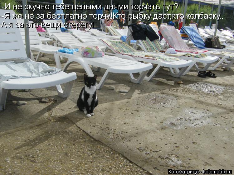 -И не скучно тебе целыми днями торчать тут? -Я же не за бесплатно торчу!Кто рыбку даст,кто колбаску..... Котоматрица: -И не скучно тебе целыми днями торчать тут? -Я же не за бесплатно торчу!Кто рыбку даст,кто колбаску... А я за это вещи стерегу!