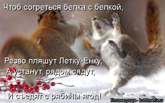 Чтоб согреться белка с белкой, Резво пляшут Летку-Енку, А устанут, рядом сядут, И съедят с рябины яг... Котоматрица: Чтоб согреться белка с белкой, Резво пляшут Летку-Енку, А устанут, рядом сядут, И съедят с рябины ягод!