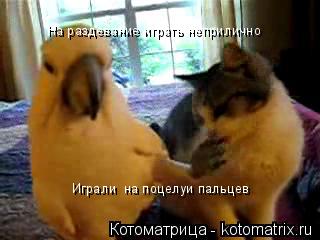 Котоматрица: На раздевание играть неприлично Играли  на поцелуи пальцев
