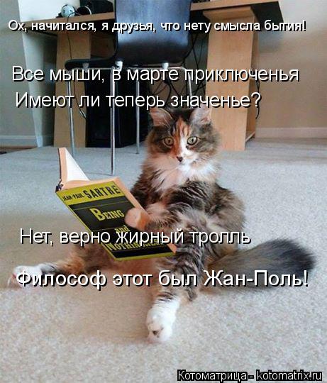 Все мыши, в марте приключенья Имеют ли теперь значенье? Нет, верно жирный тролль Ох, начитался, я дру... Котоматрица: Все мыши, в марте приключенья Имеют ли теперь значенье? Нет, верно жирный тролль Ох, начитался, я друзья, что нету смысла бытия! Философ этот
