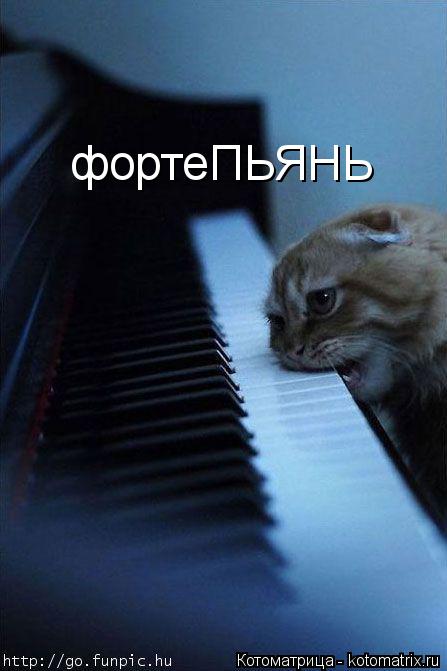 Котоматрица: фортеПЬЯНЬ