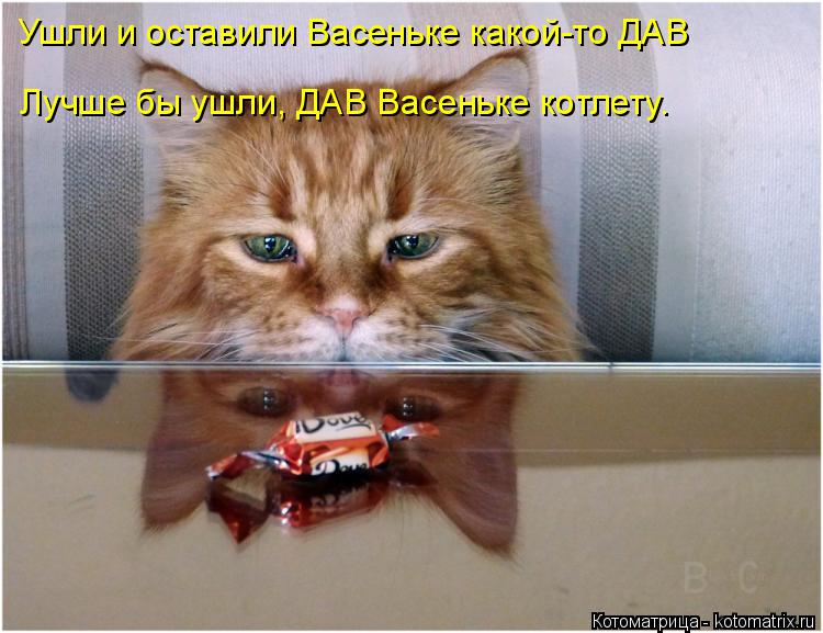 Ушли и оставили Васеньке какой-то ДАВ Лучше бы ушли, ДАВ Васеньке котлету.... Котоматрица: Ушли и оставили Васеньке какой-то ДАВ Лучше бы ушли, ДАВ Васеньке котлету.