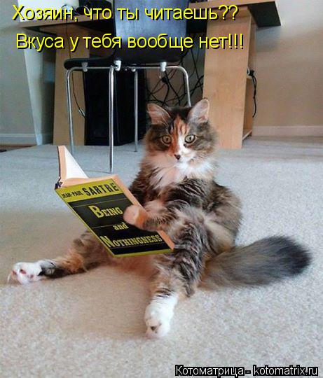 Котоматрица: Хозяин, что ты читаешь??  Вкуса у тебя вообще нет!!!