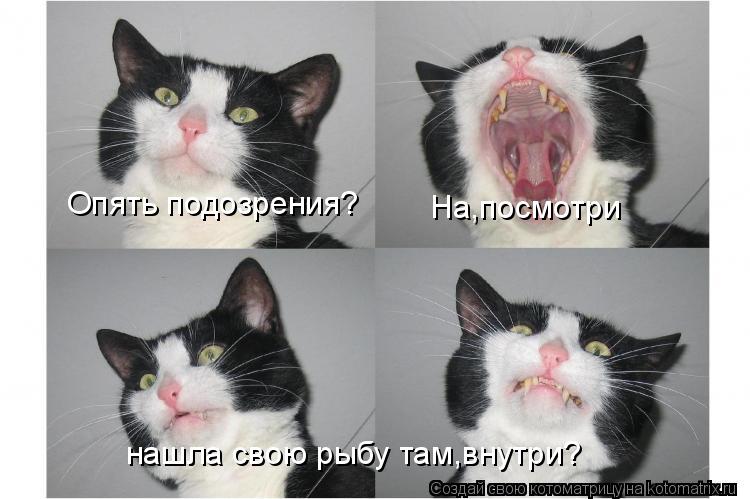 Котоматрица: Опять подозрения? На,посмотри нашла свою рыбу там,внутри?