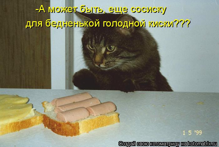 Котоматрица: -А может быть, еще сосиску для бедненькой голодной киски???